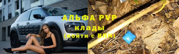 скорость Баксан