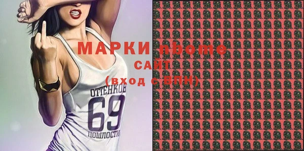 хмурый Белокуриха