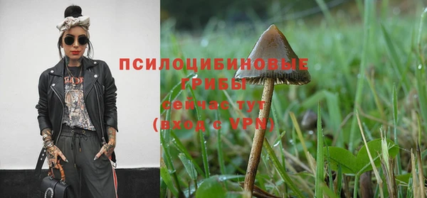 дживик Балахна