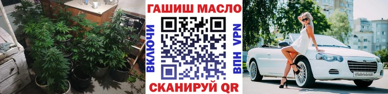 где продают наркотики  Мариинский Посад  ТГК Wax 